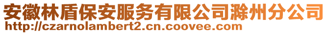 安徽林盾保安服務有限公司滁州分公司