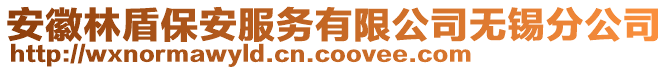 安徽林盾保安服務有限公司無錫分公司