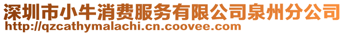 深圳市小牛消費(fèi)服務(wù)有限公司泉州分公司