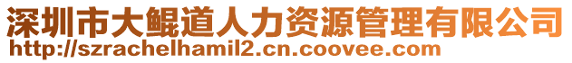 深圳市大鯤道人力資源管理有限公司