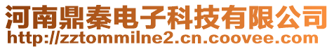 河南鼎秦電子科技有限公司