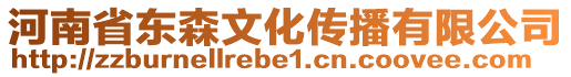 河南省東森文化傳播有限公司