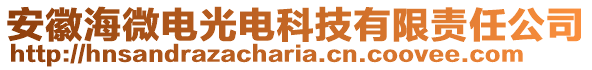 安徽海微電光電科技有限責任公司