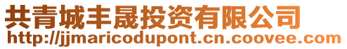 共青城豐晟投資有限公司