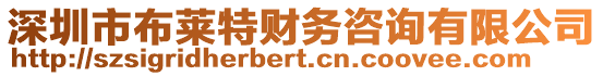 深圳市布萊特財務(wù)咨詢有限公司