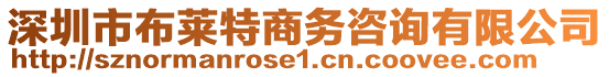 深圳市布萊特商務(wù)咨詢有限公司