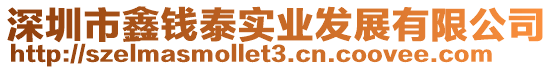 深圳市鑫錢泰實(shí)業(yè)發(fā)展有限公司
