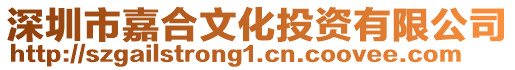 深圳市嘉合文化投資有限公司