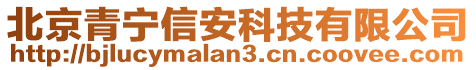 北京青寧信安科技有限公司