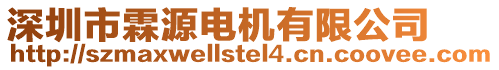 深圳市霖源電機(jī)有限公司