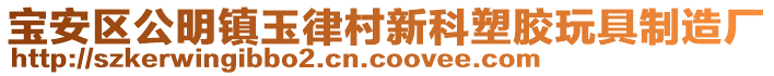 寶安區公明鎮玉律村新科塑膠玩具制造廠