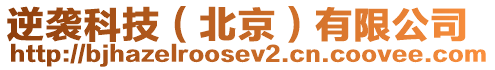 逆襲科技(北京)有限公司
