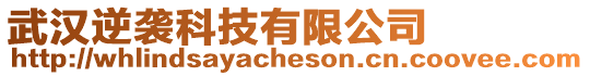 武漢逆襲科技有限公司