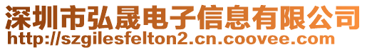 深圳市弘晟電子信息有限公司