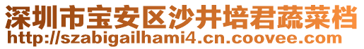 深圳市寶安區沙井培君蔬菜檔