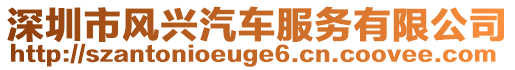 深圳市風(fēng)興汽車服務(wù)有限公司