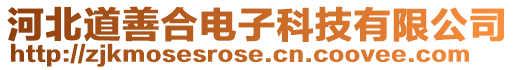 河北道善合電子科技有限公司