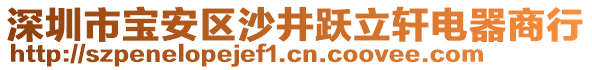深圳市寶安區沙井躍立軒電器商行