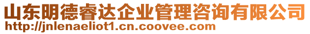 山東明德睿達企業管理咨詢有限公司