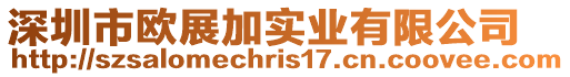 深圳市歐展加實業有限公司
