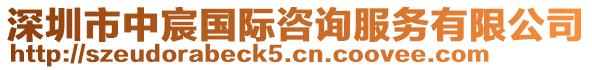 深圳市中宸國(guó)際咨詢服務(wù)有限公司