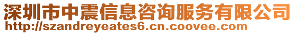 深圳市中震信息咨詢服務有限公司