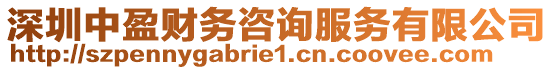深圳中盈財務咨詢服務有限公司
