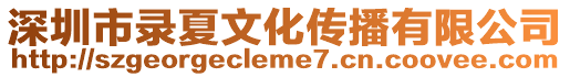 深圳市錄夏文化傳播有限公司