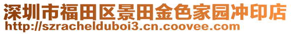 深圳市福田區景田金色家園沖印店
