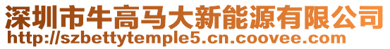 深圳市牛高馬大新能源有限公司