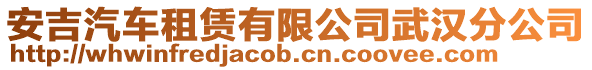 安吉汽車租賃有限公司武漢分公司