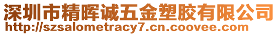 深圳市精暉誠五金塑膠有限公司