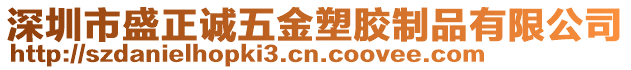 深圳市盛正誠五金塑膠制品有限公司