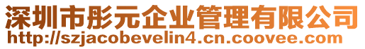 深圳市彤元企業(yè)管理有限公司