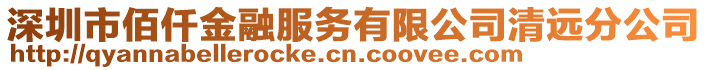 深圳市佰仟金融服務有限公司清遠分公司