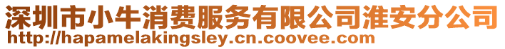 深圳市小牛消費(fèi)服務(wù)有限公司淮安分公司