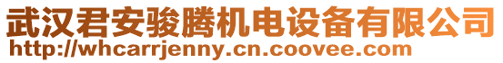 武漢君安駿騰機電設備有限公司