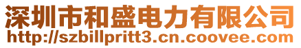 深圳市和盛電力有限公司