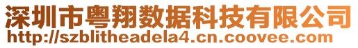 深圳市粤翔数据科技有限公司