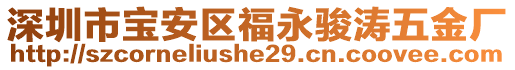 深圳市寶安區(qū)福永駿濤五金廠