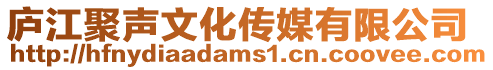 廬江聚聲文化傳媒有限公司