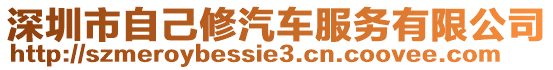 深圳市自己修汽車服務有限公司
