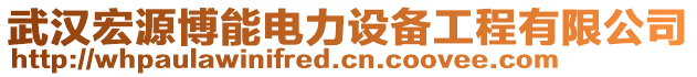 武漢宏源博能電力設(shè)備工程有限公司