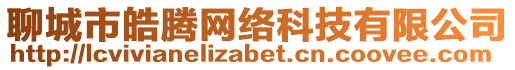 聊城市皓騰網(wǎng)絡(luò)科技有限公司