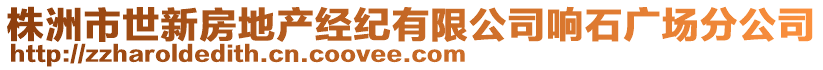 株洲市世新房地產(chǎn)經(jīng)紀(jì)有限公司響石廣場(chǎng)分公司