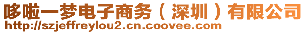 哆啦一夢(mèng)電子商務(wù)（深圳）有限公司