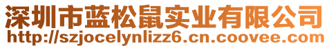 深圳市藍(lán)松鼠實(shí)業(yè)有限公司