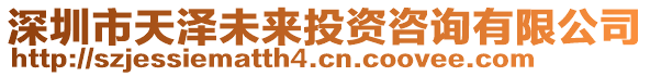 深圳市天澤未來投資咨詢有限公司