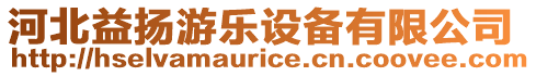 河北益揚(yáng)游樂(lè)設(shè)備有限公司