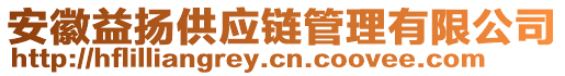 安徽益揚供應鏈管理有限公司